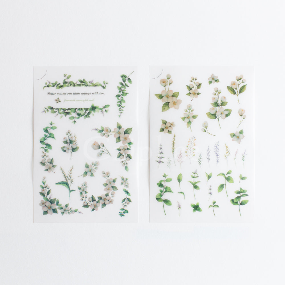 MU Print-On Sticker 2s 035-Mint & Jasmine