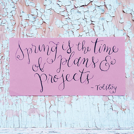 TESLA AMAZING Magnetic Notes Large- Peachy 100s Default Title