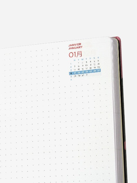 QUO VADISxPAPIER TIGRE 2019 Weekly Notebook L Diagonal