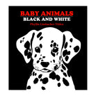 Baby Animals