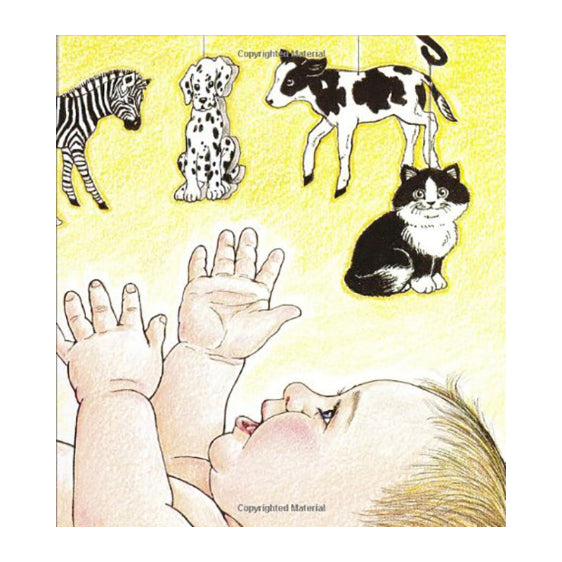 Baby Animals