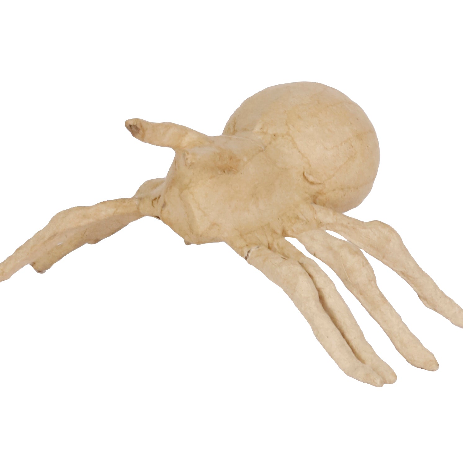 DECOPATCH Objects:Pulp Small-Spider 5cm Default Title
