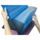 CBE Expanding File 4301 F4 13P 3Cols