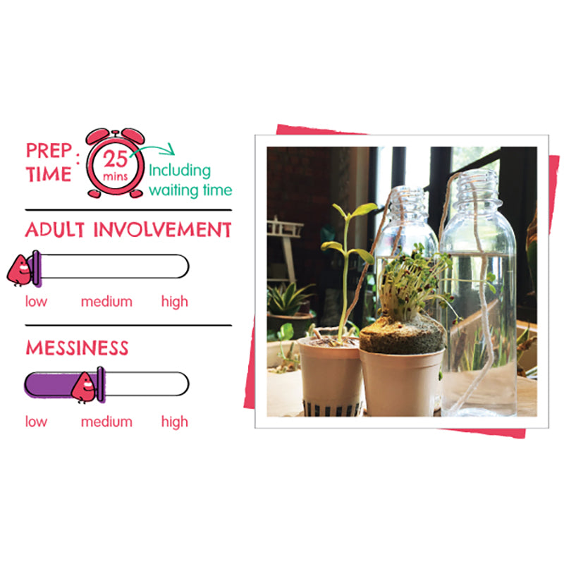 ATOM & THE DOT Mini Box Set:The Lazy Gardener 1212821