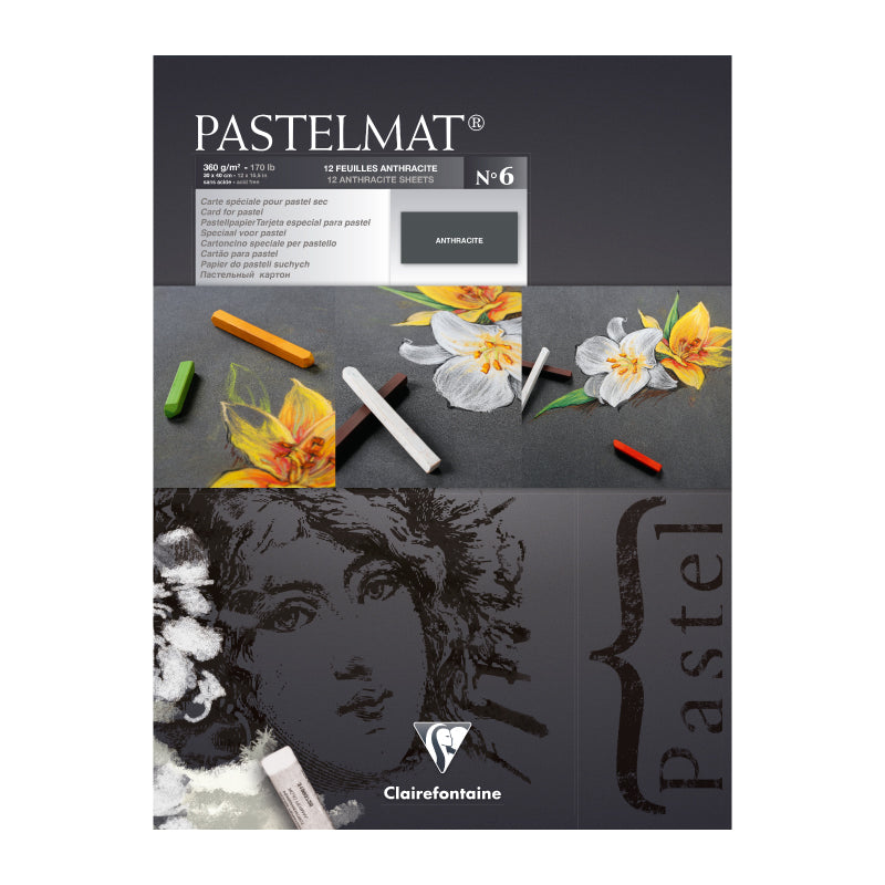 CLAIREFONTAINE Pastelmat Pad 360g 30x40cm 12s No.6 Default Title
