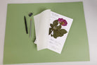 CLAIREFONTAINE Herbarium WB Pad A4 180g