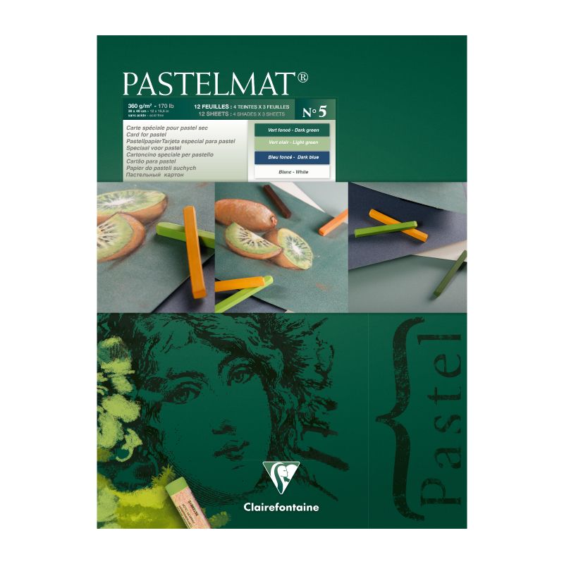 CLAIREFONTAINE Pastelmat Pad 360g 30x40cm 12s No.5 4 Shades Default Title
