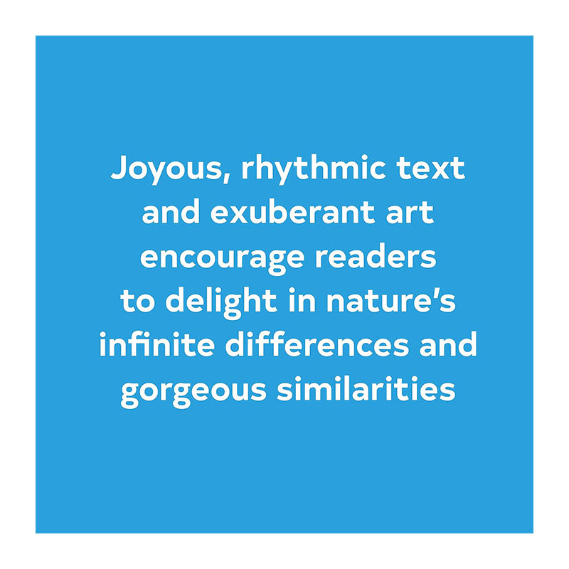 Hello Hello BRENDAN WENZEL