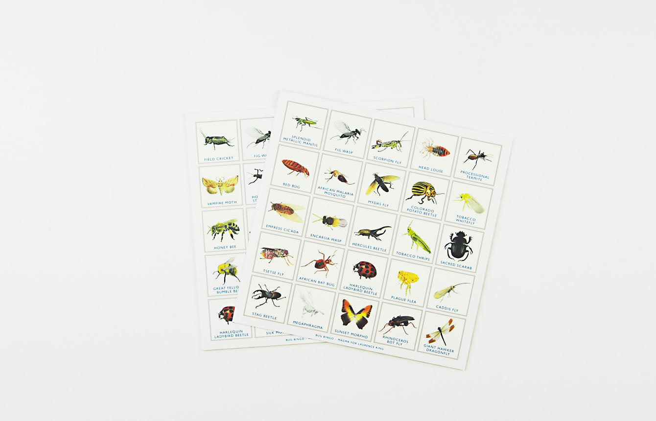 Bug Bingo 1205798