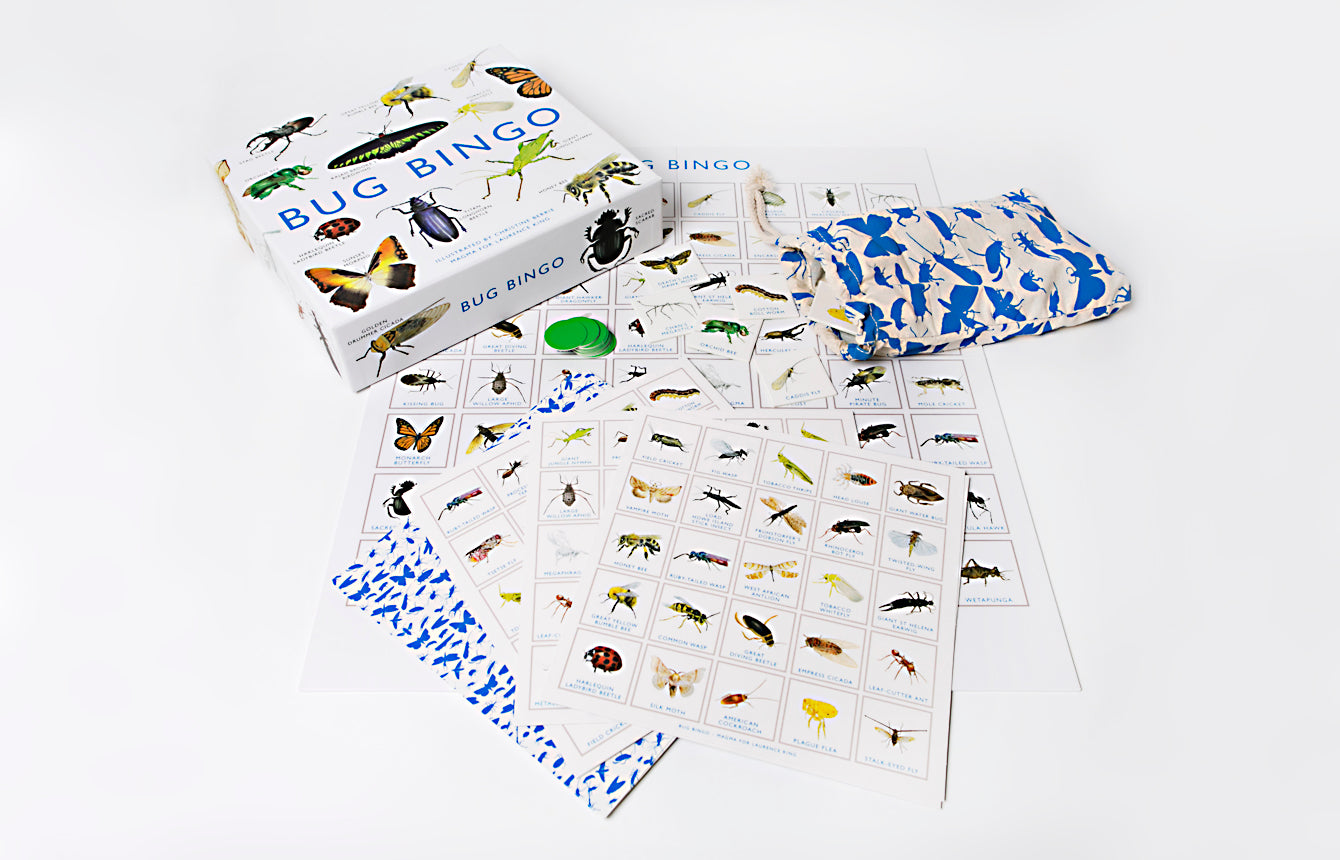 Bug Bingo 1205798
