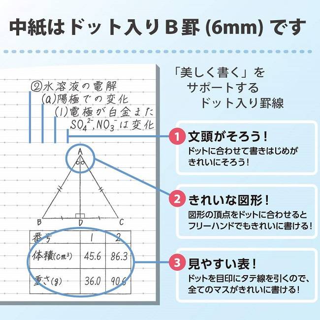 KOKUYO Campus Notebook B5-S Ltd Dot Ruled Black/Purple Default Title