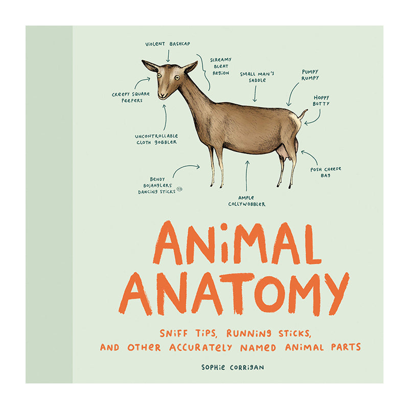 Animal Anatomy SOPHIE CORRIGAN