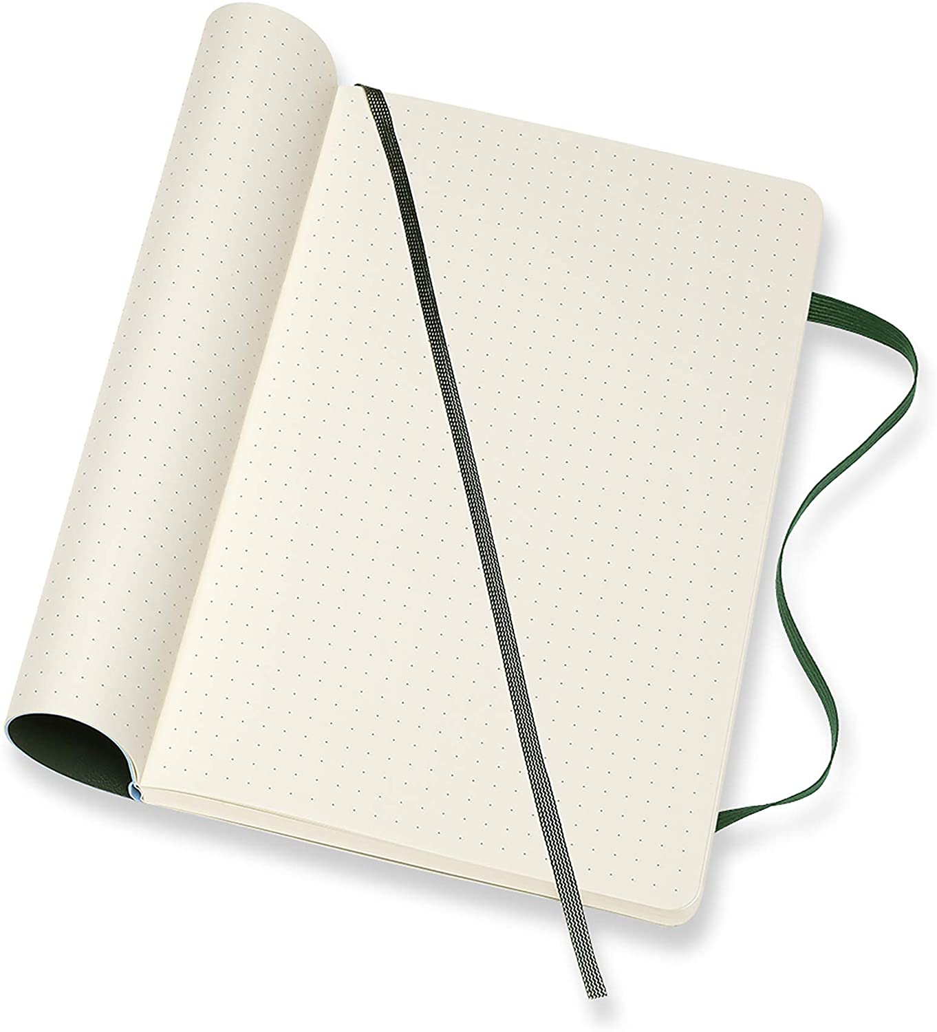 MOLESKINE Classic L Dotted Soft Myrtle Green