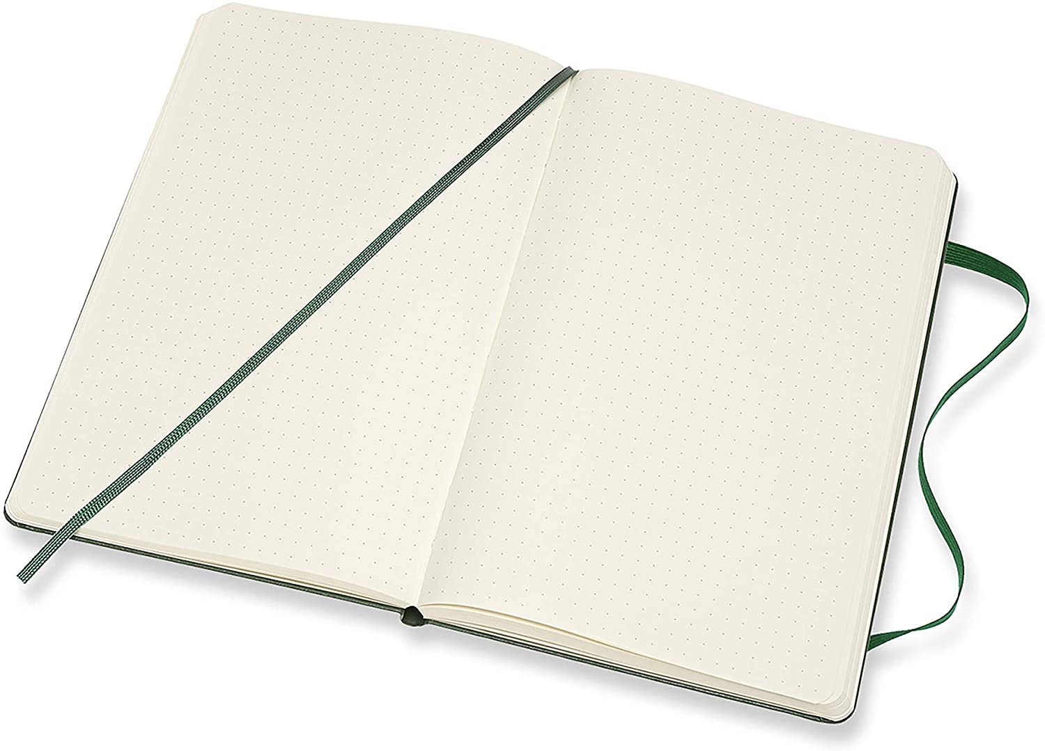 MOLESKINE Classic L Dotted Hard Myrtle Green