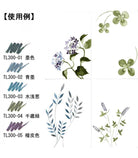 AKASHIYA Sai Thinline 5-Color Set