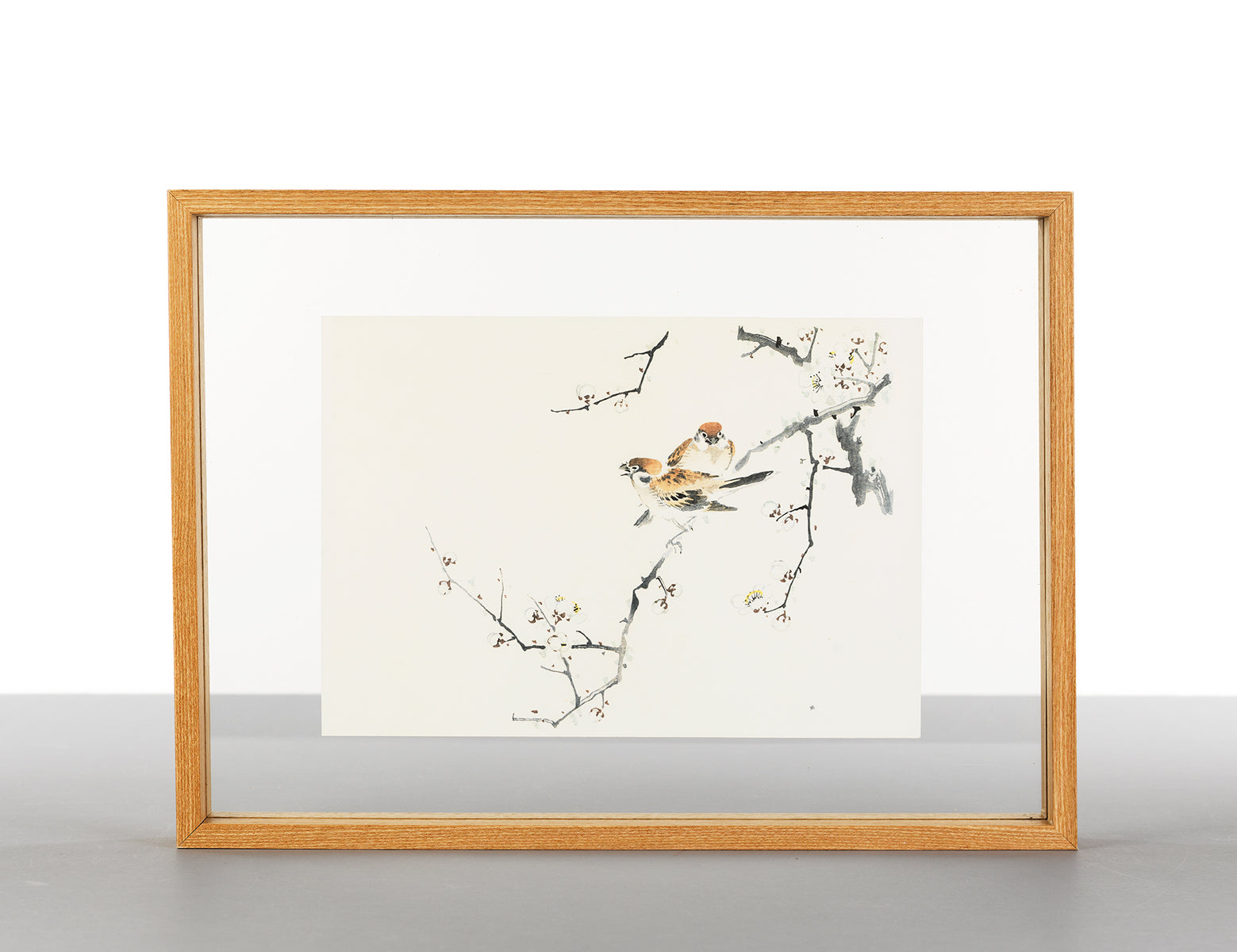 PEPIN Paper Craft Book Japan 1206873