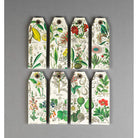 PEPIN Paper Craft Book Flowers