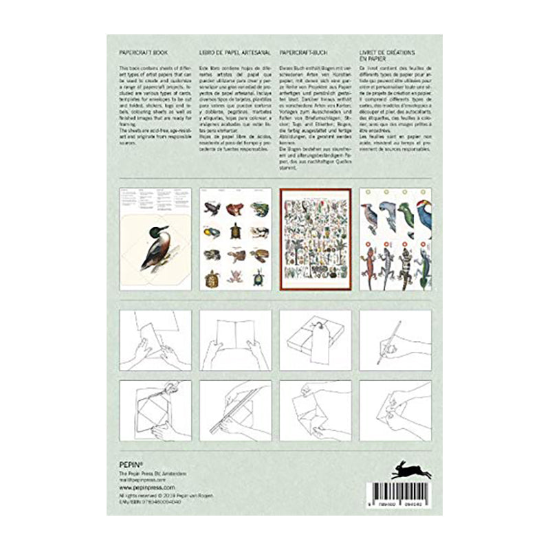 PEPIN Paper Craft Book Natural History 1206874