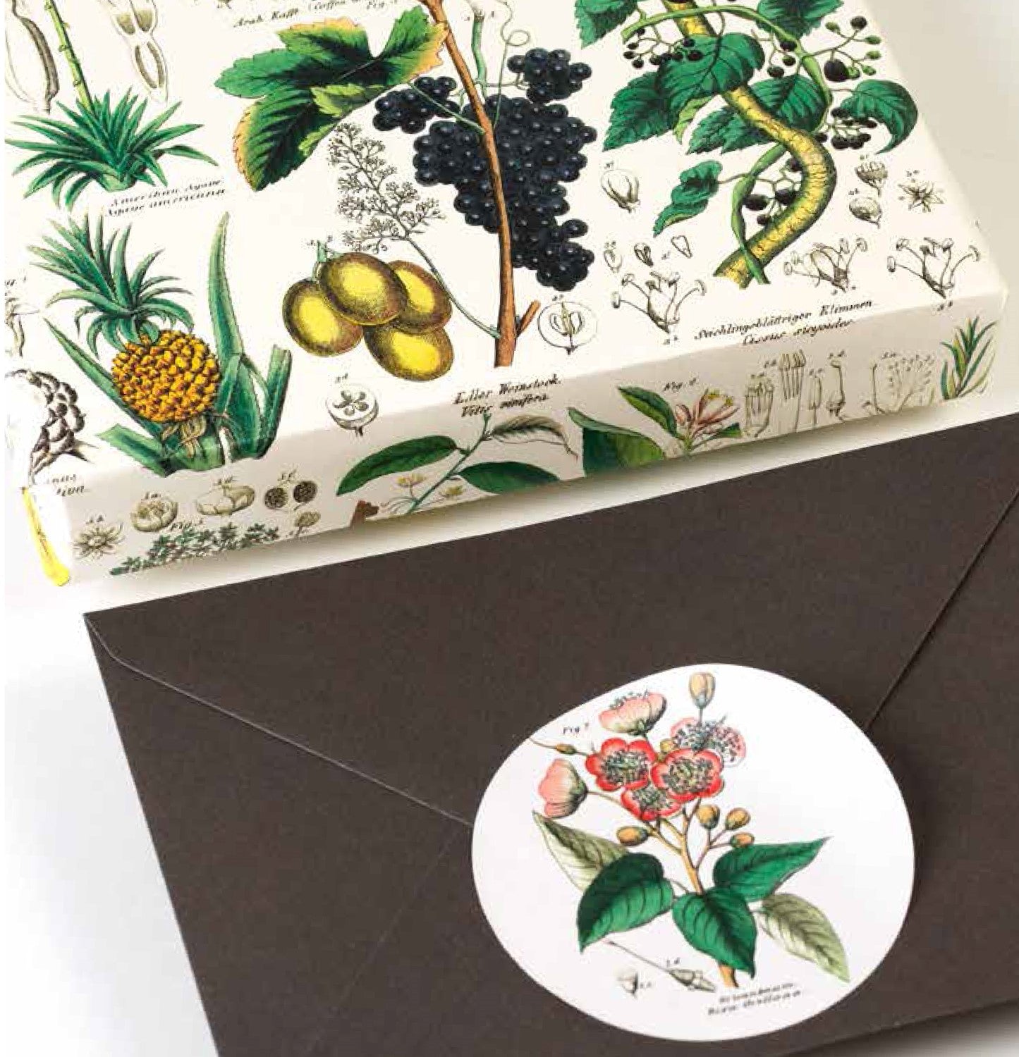 PEPIN Label & Sticker Book Flora