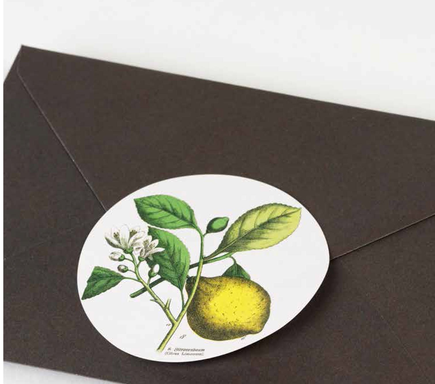 PEPIN Label & Sticker Book Flora