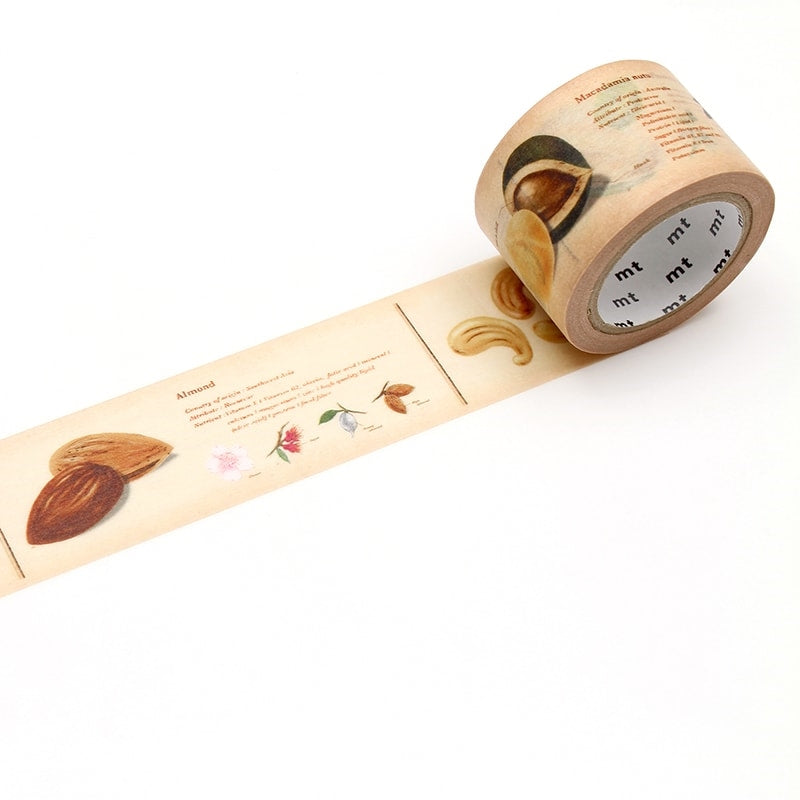 MT Ex Encyclopedia Nuts