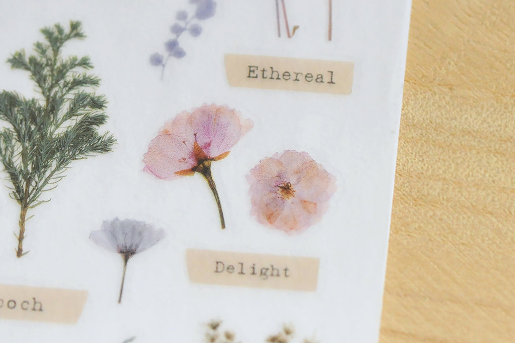 MU Print-On Sticker 2s 104-Herbarium