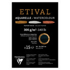 CLAIREFONTAINE Etival Cold Pressed 300g Black A4 15s 2Grain Default Title