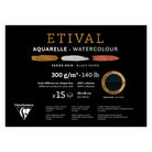 CLAIREFONTAINE Etival Cold Pressed 300g Black 28x38cm 15s 2Grain Default Title