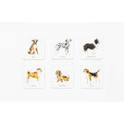 Dog Coasters 1206793