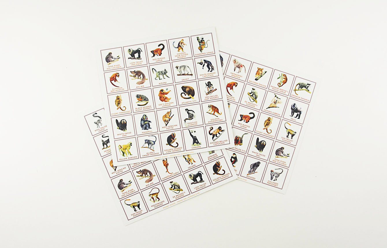 Monkey Bingo: And Other Primates 1205820