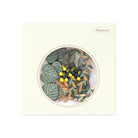MIDORI Sticker PCM 2522 Decoration Leaf