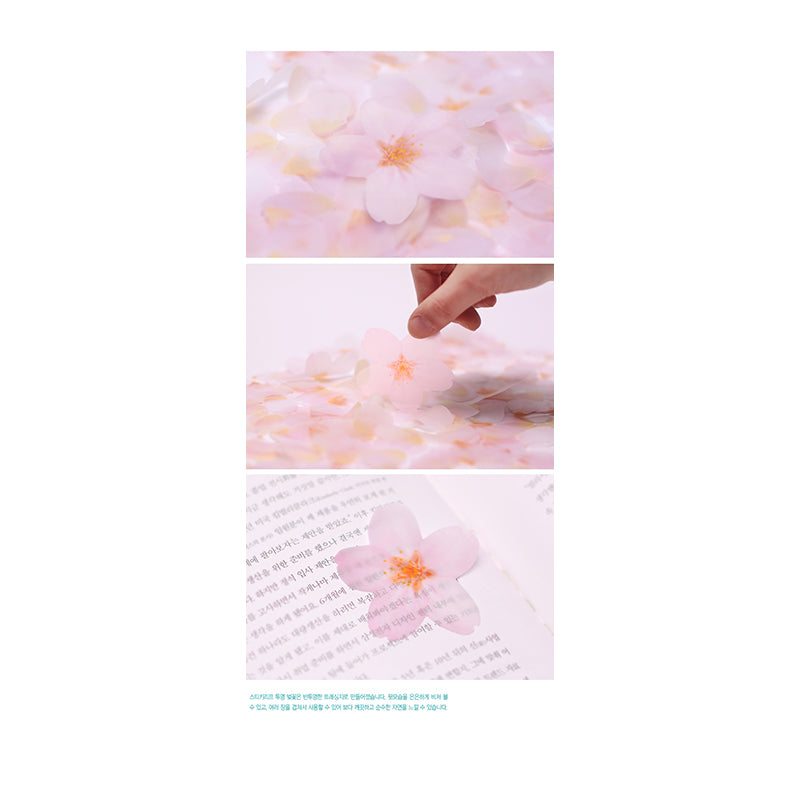 APPREE Sticky Leaf Memo M Cherry Blossom White Default Title