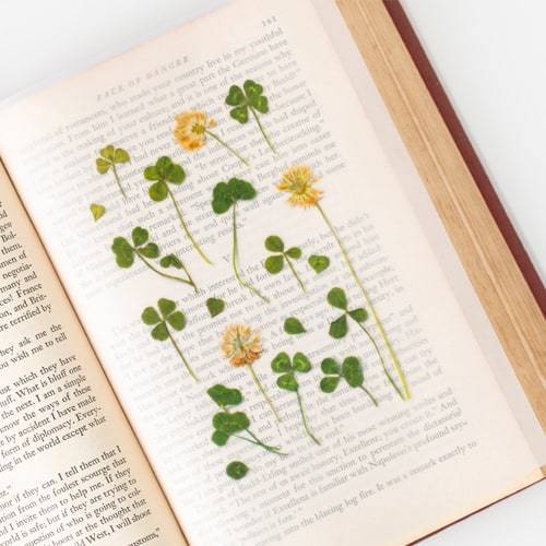 APPREE Press Flower Stickers Four Leaf Clover Default Title