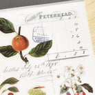 MU Print-On Sticker 2s 126-Fruit Label Collection
