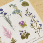MU Print-On Sticker 2s 127-Field Guide Of Flowers