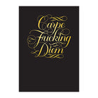 Calligraphuck Carpe F**ing Diem Flexi Journal 1206778