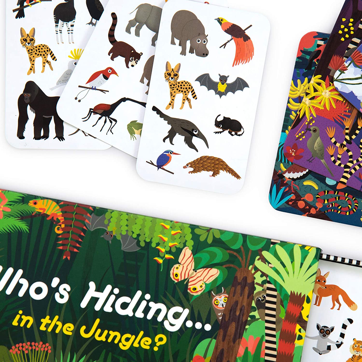 Who's Hiding in the Jungle? A Spot and Match Game 1205834