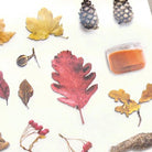 MU Print-On Sticker 2s 139-Autumn Collection