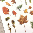 MU Print-On Sticker 2s 139-Autumn Collection