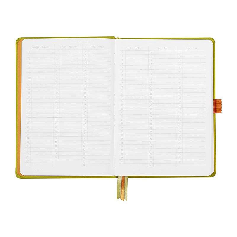 RHODIArama Goalbook HC White A5 Dot Anise Green Default Title