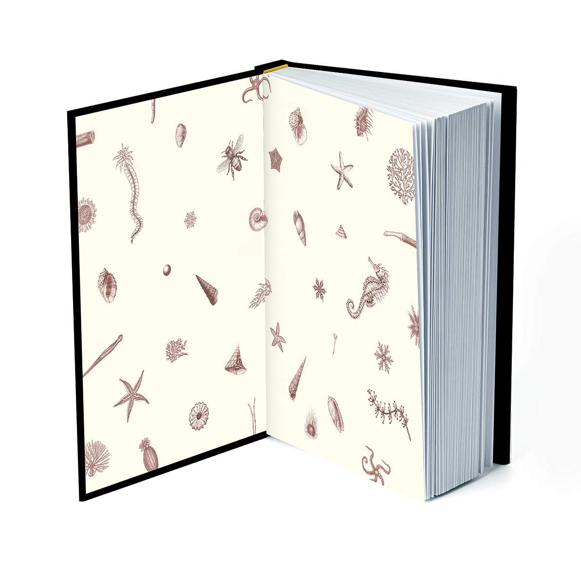 Piranesi Default Title