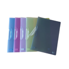 CBE Report File 01910 A4 Red