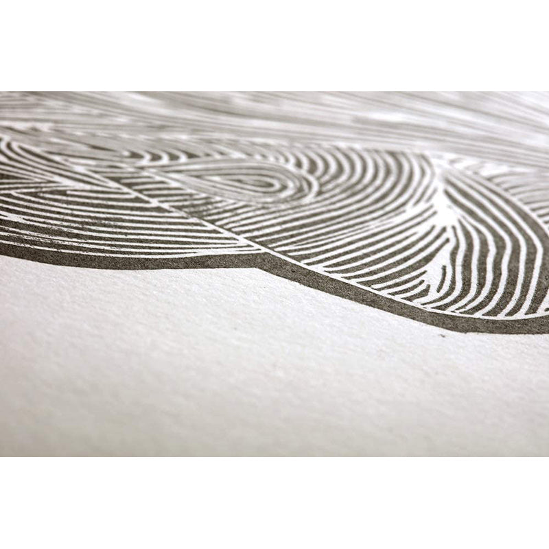 CLAIREFONTAINE Simili Japon 130g 24x32cm White 1s Default Title