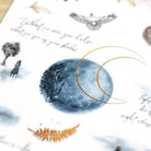 MU Print-On Sticker 2s 163-Poetry Path