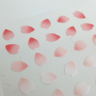 SUATELIER Plain Deco X Sakura No.1667: Plain.63
