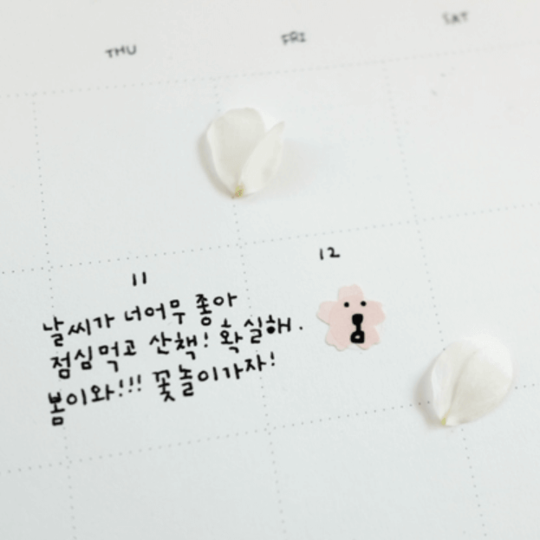 SUATELIER Plain Deco X Sakura No.1666: Plain.62