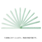 MIDORI Multi Ruler 30cm [Limited] Pale Green