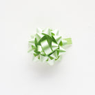 CLAIREFONTAINE Mini Bow Ribbon 50mm 1s Christmas Ice Green Default Title