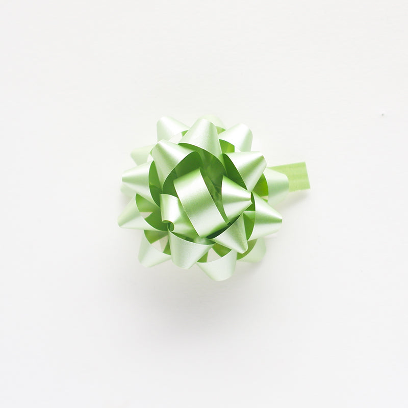 CLAIREFONTAINE Mini Bow Ribbon 50mm 1s Christmas Ice Green Default Title