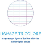 CLAIREFONTAINE Calligraphe Ligne 8000 PP A5+ 96p Seyes Grey